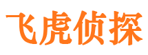 汤旺河市侦探公司